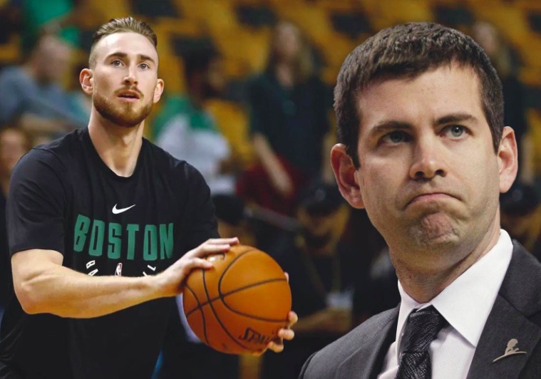 带领十朵金 带领十朵金